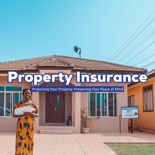 propertyInsurance